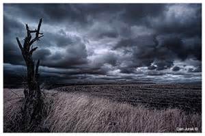 Spiritual Wasteland Source: wallalay.com