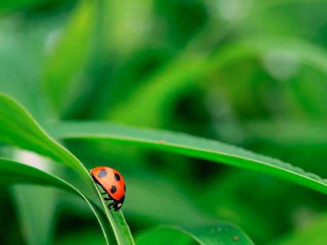 Source: Wallpaperup.com