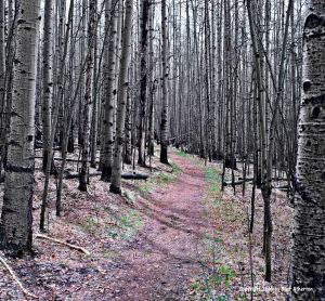 Destination Ahead Copyright 2016 by Blair Atherton